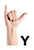 hand sign y